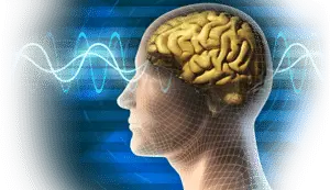 neurofeedback | Sachs Center | Autism ADHD Testing and Treatment