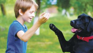 Animal- assisted therapy, Animal- assisted therapy for ASD