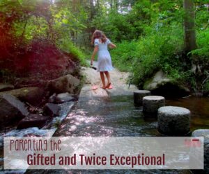 Twice Exceptional, Twice Exceptional