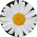 Abigail A. Abigail A.